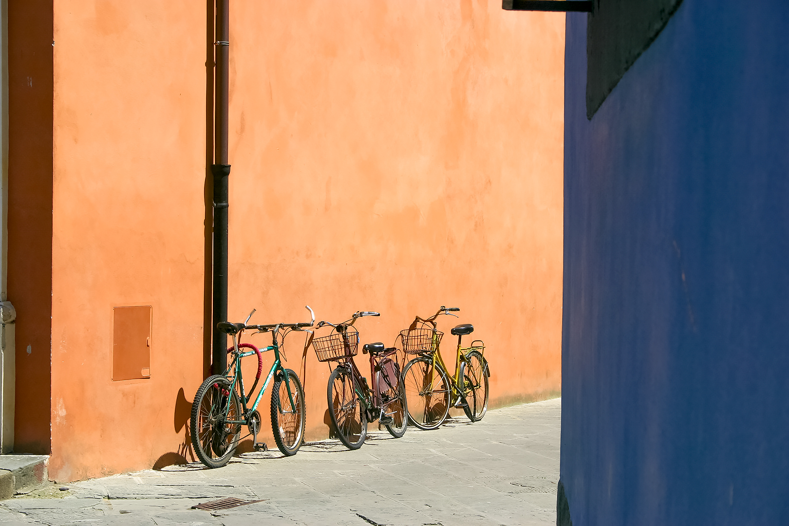 Bicycles in Pisa