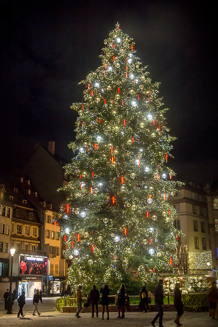 Strasbourg Christmas tree