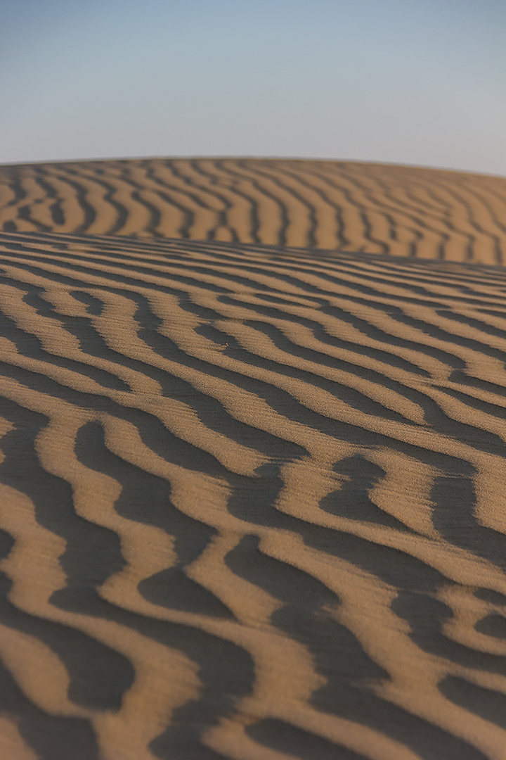Sand in the Thar desert