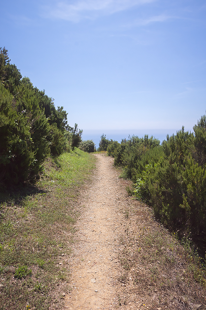 A path high above Cinque Terre