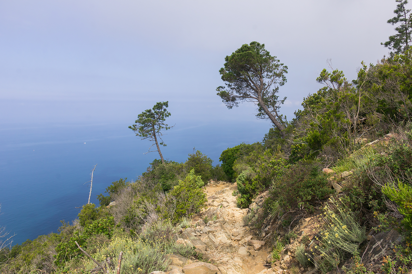 A path high above Cinque Terre